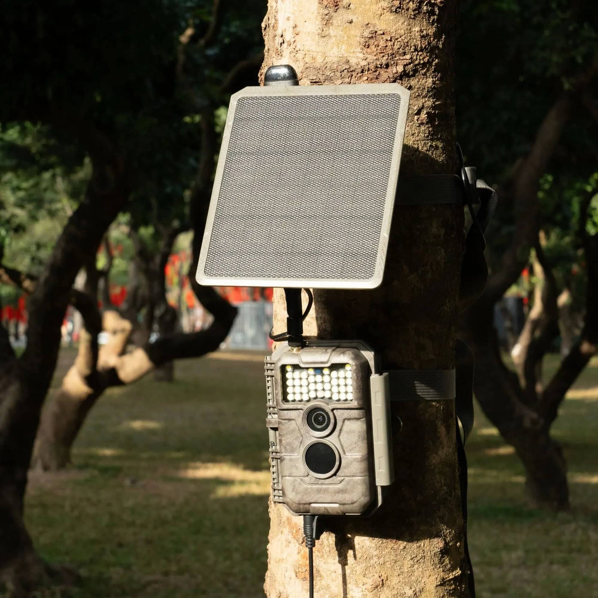 GardePro X20WF Cellular Trail Camera with Solar Panel - GardePro