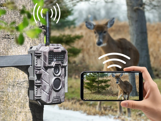 What is DPI for Trail Camera