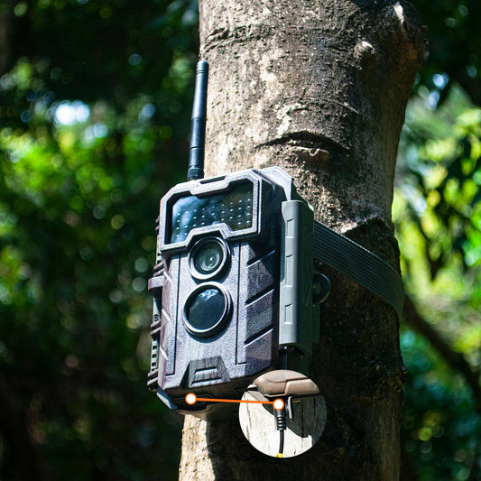 How to Earn Money to Sell Trail Camera
