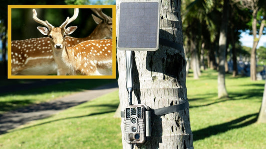 GardePro X60P Live Max Live Stream Rechargeable Cellular Trail Camera
