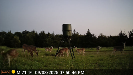 How Wind and Thermals Move Through Hunting Terrain