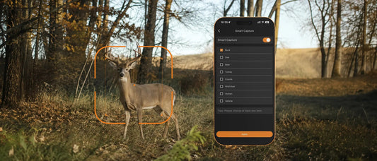 Do You Really Need an AI Trail Camera?