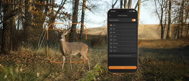 Do You Really Need an AI Trail Camera?