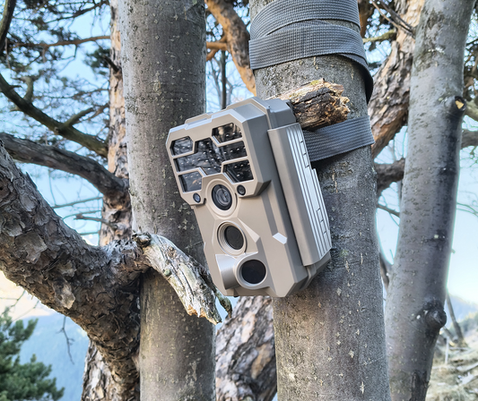 How to Protect Your Trail Camera from Being Stolen