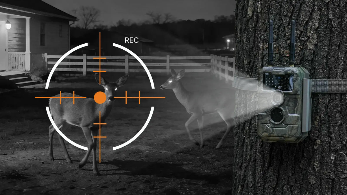 GardePro E6 2.0 Pro WiFi trail camera with 165ft no-glow night vision, capturing deer at night without spooking wildlife