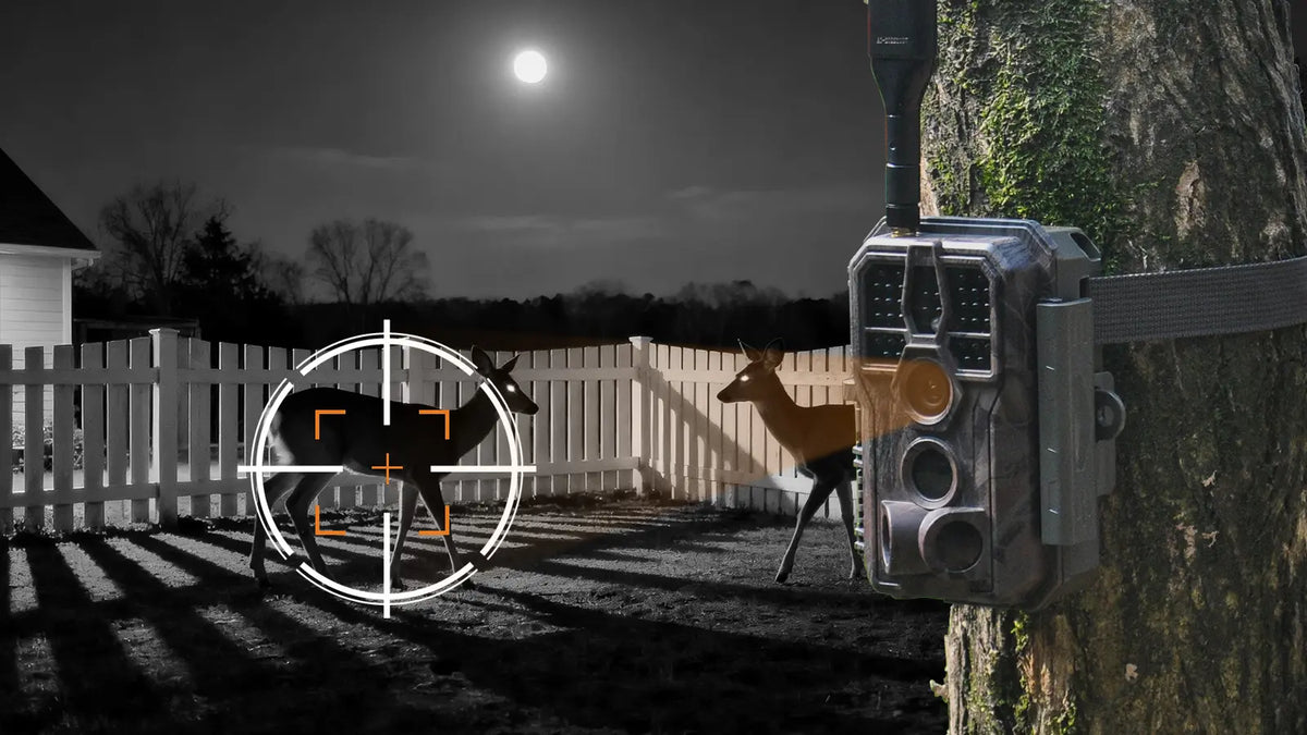 GardePro X50S cellular trail camera capturing deer at night with 940nm no-glow night vision, ensuring stealthy wildlife monitoring