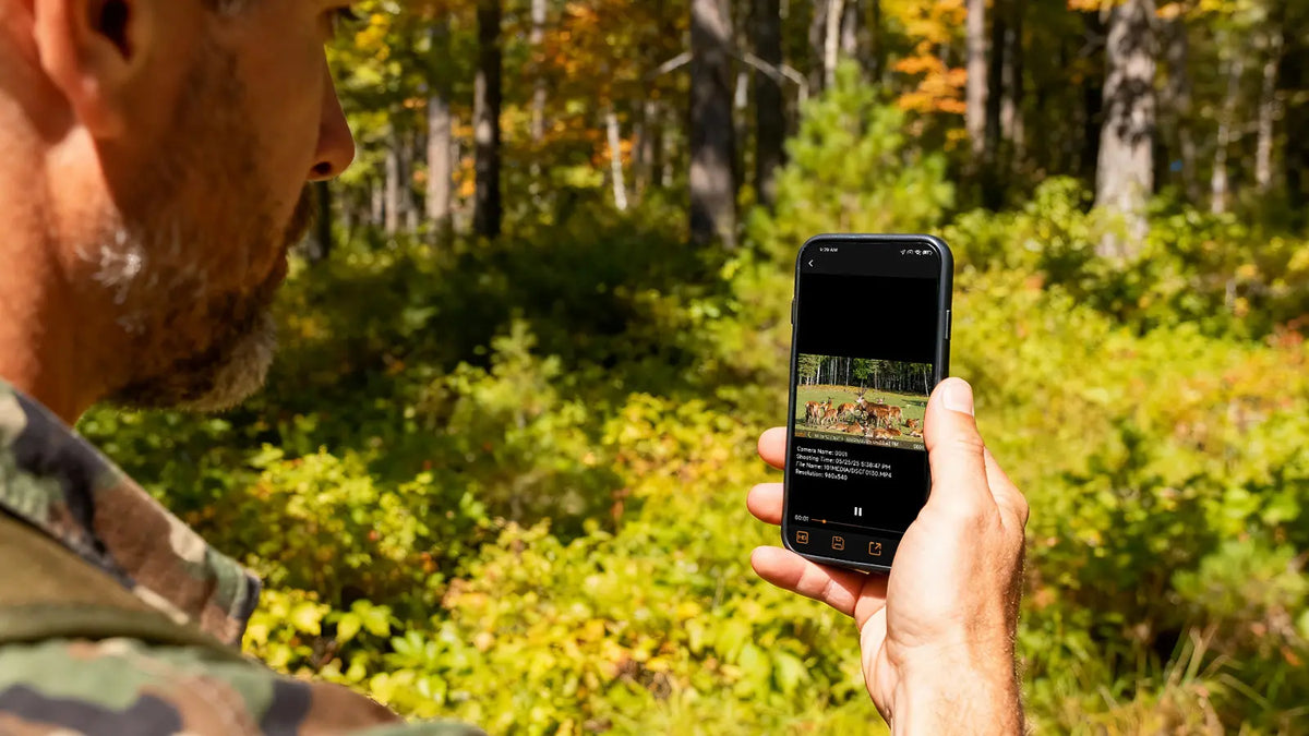 Hunter using a smartphone to remotely view live video from a GardePro X50S cellular trail camera in the forest