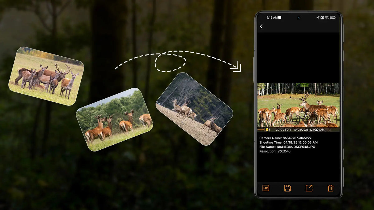 Wildlife photos captured by GardePro X50S cellular trail camera being wirelessly transferred to the GardePro app for easy access