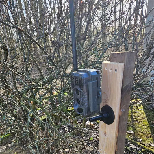 GardePro X60P Live Max trail camera with wall mount for remote monitoring and real-time surveillance.