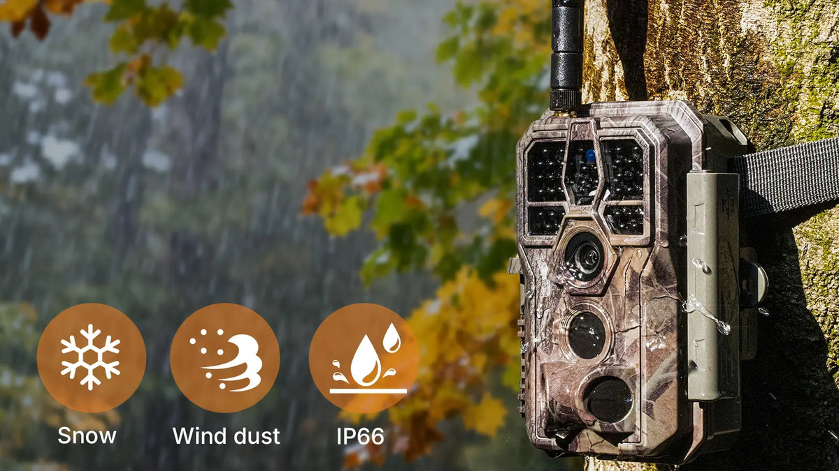 GardePro X50S cellular trail camera mounted on a tree, showcasing its IP66 waterproof and dustproof design for use in rain, snow, and wind
