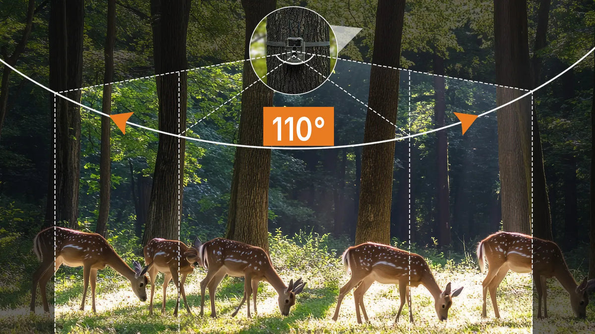 110° wide-angle motion detection coverage of GardePro E6 2.0 Pro WiFi trail camera, monitoring a herd of deer in a forest