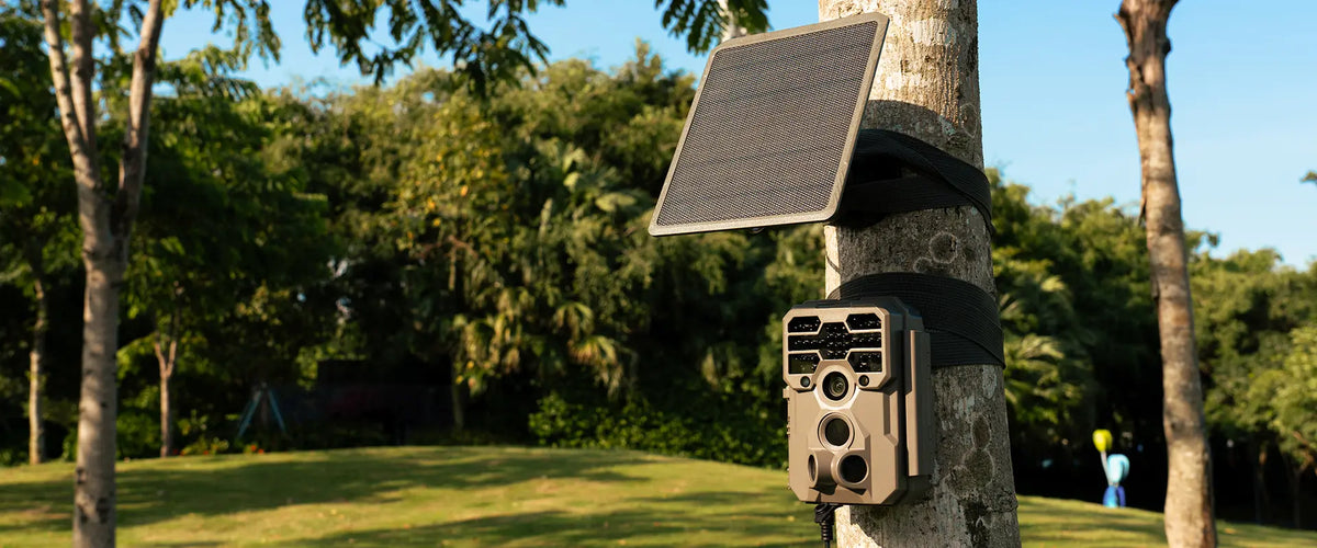 GardePro A60 trail camera features 4K resolution and a Sony sensor, delivering high-quality images, making it the best trail camera of 2025.