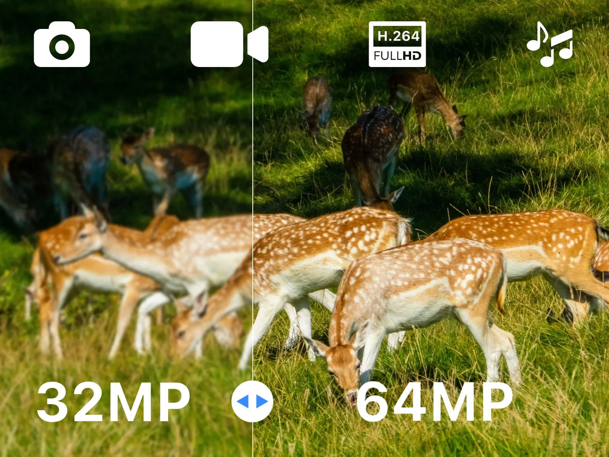 GardePro A60 4K trail camera captures stunning deer trail cam pics, from animal identification to vehicle features.