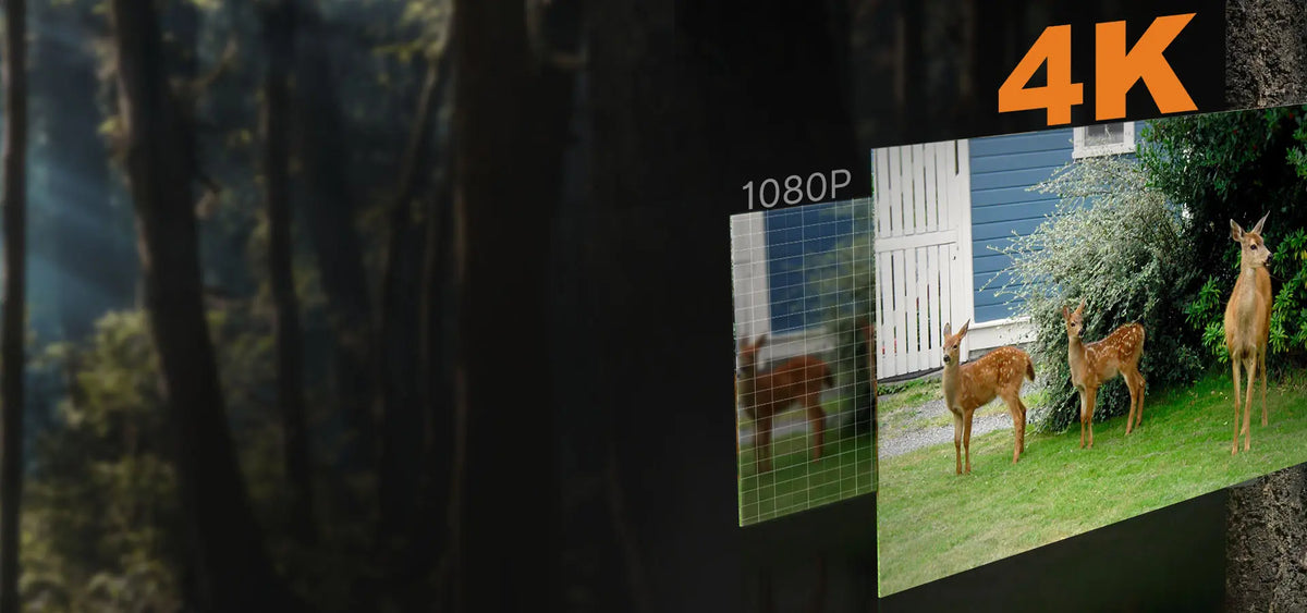 GardePro E6 2.0 Pro delivers crisp, true-to-life 4K footage (far clearer than 1080P) for detailed wildlife monitoring.