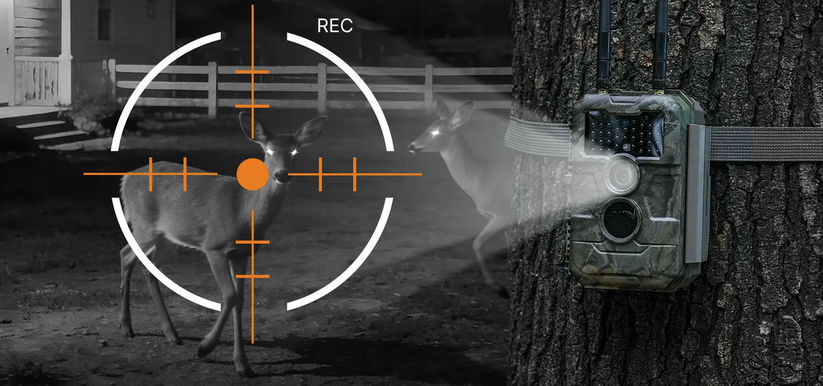 GardePro E6 2.0 Pro’s 0.3s trigger and 165ft no-glow night vision capture wildlife clearly without spooking them after dark.
