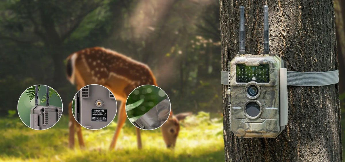 GardePro E6 2.0 Pro Design: This WiFi trail camera (with dual antennas) is built for outdoor use, ideal for wildlife monitoring and hunting.