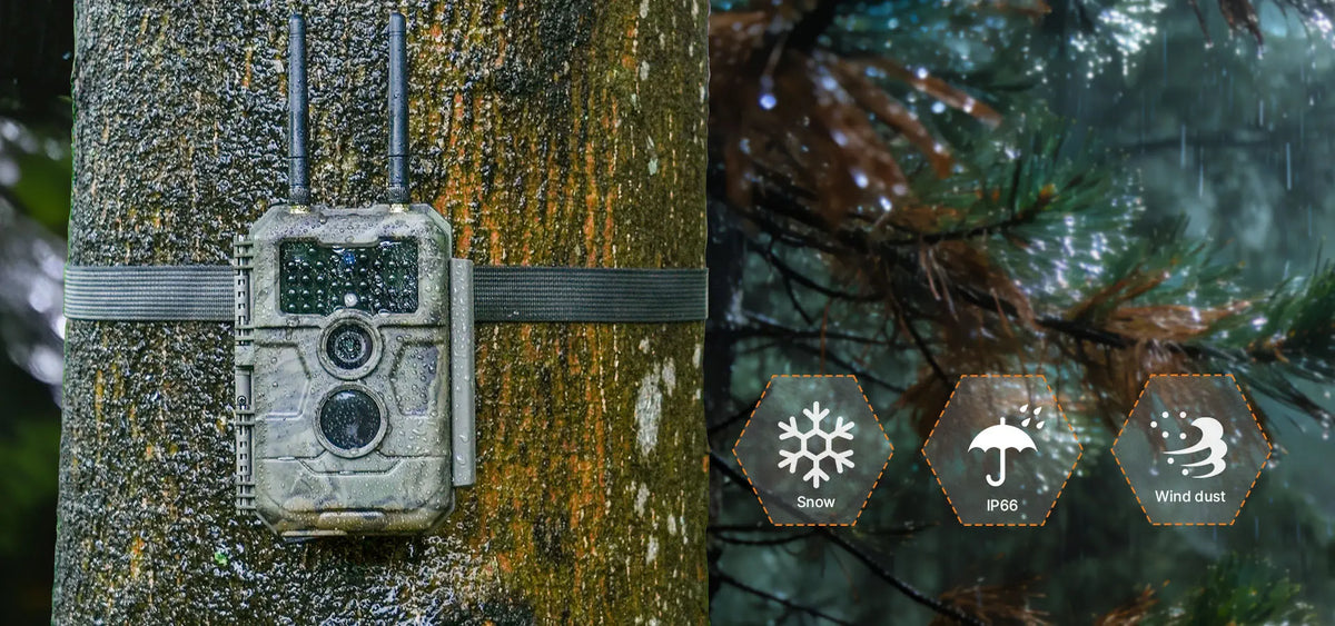 Weather-Resistant (IP66): GardePro E6 2.0 Pro withstands snow, rain, and dust—built to perform in tough outdoor conditions.