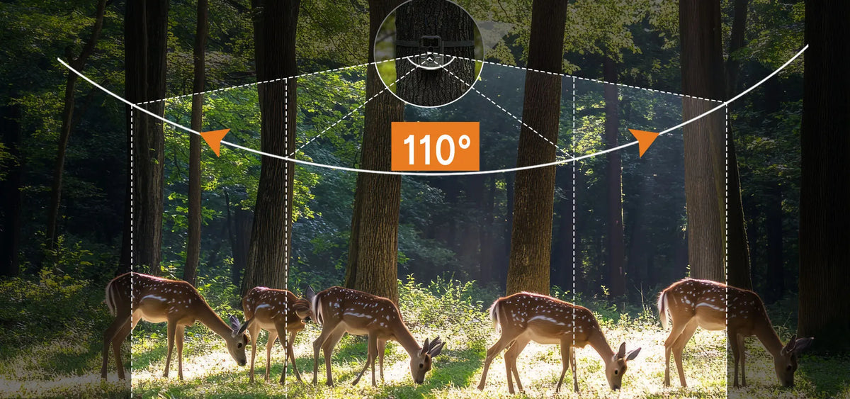 110° Detection Angle: The GardePro E6 2.0 Pro’s 110° detection range covers wide forest areas, great for monitoring multiple animals at once.