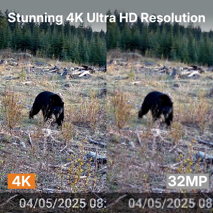 4K Ultra HD vs 32MP image quality comparison captured by GardePro trail camera, showing a black bear in the wild