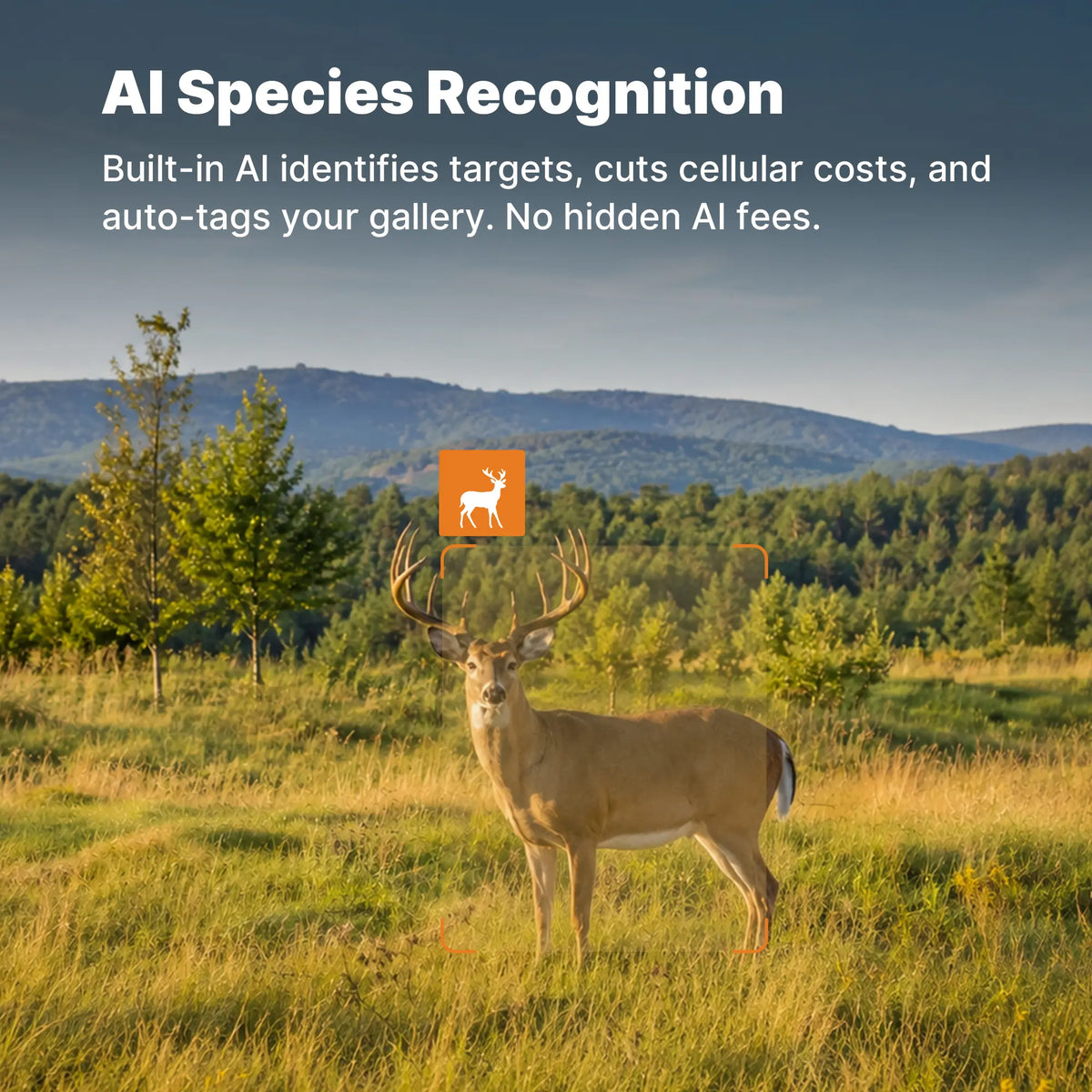 GardePro E8 3.0 Pro 4K Home WiFi Trail Camera