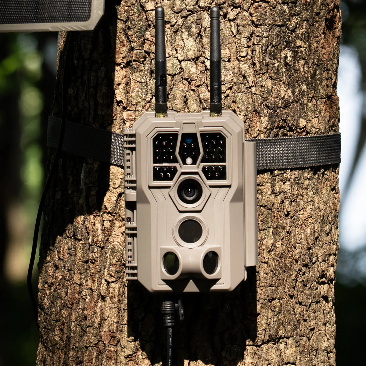GardePro E8 2.0 Pro Wi-Fi trail camera mounted on a tree, featuring dual antennas for stable 165ft range connectivity