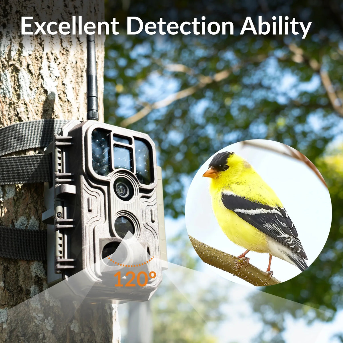 GardePro E9P Close Focus WiFi Trail Camera with 120° motion detection for accurate wildlife tracking and bird monitoring