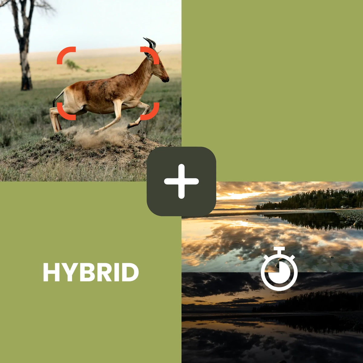 GardePro X20WF cellular trail camera showcasing its hybrid mode, combining motion detection and time-lapse for wildlife monitoring