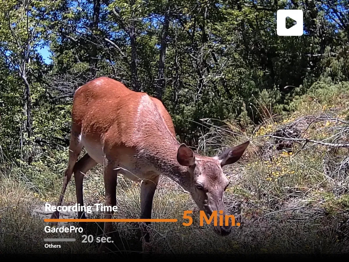 GardePro E9 Wi-Fi trail camera with 48MP & 1296P HD resolution, offering the best Wi-Fi trail camera performance.