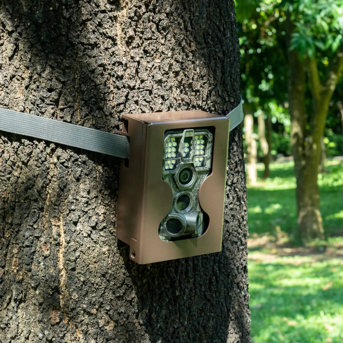 GardePro Trail Camera A5 with White Flash  with Security Box