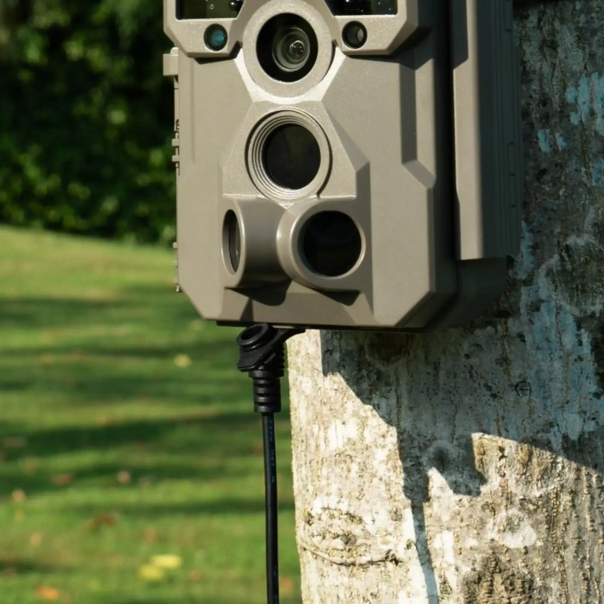GardePro A60 4K trail camera features AC adapter charging, offering reliable power for long-term use, making it one of the best game cameras for continuous monitoring.