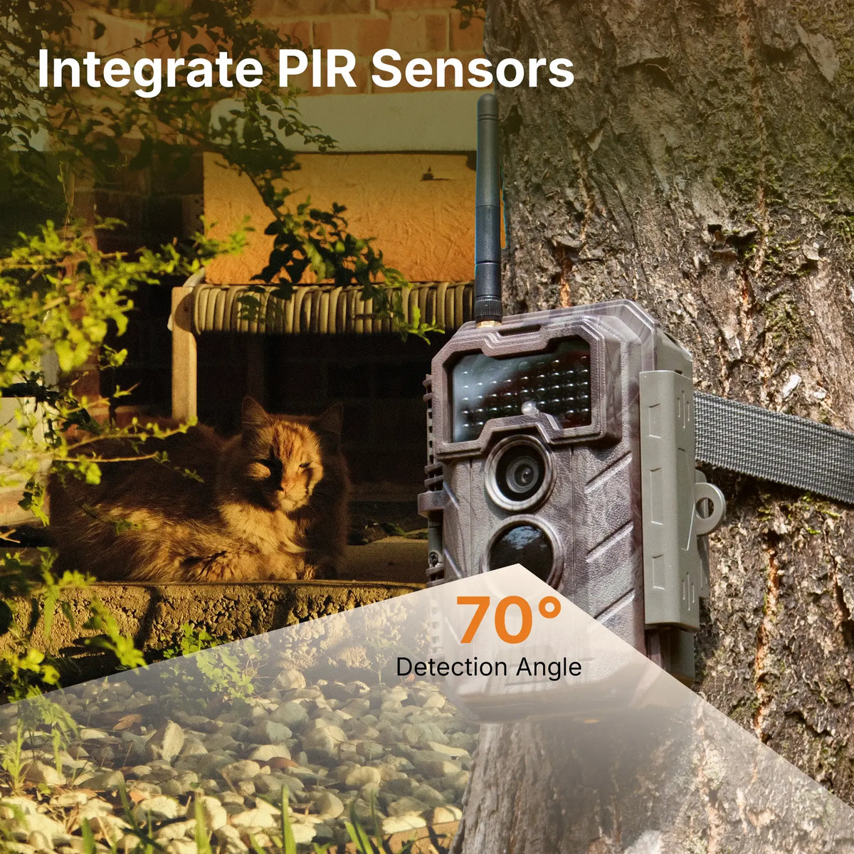 GardePro E7 WiFi trail camera mounted on a tree with 70° PIR sensor detection angle, monitoring a cat resting in the background.