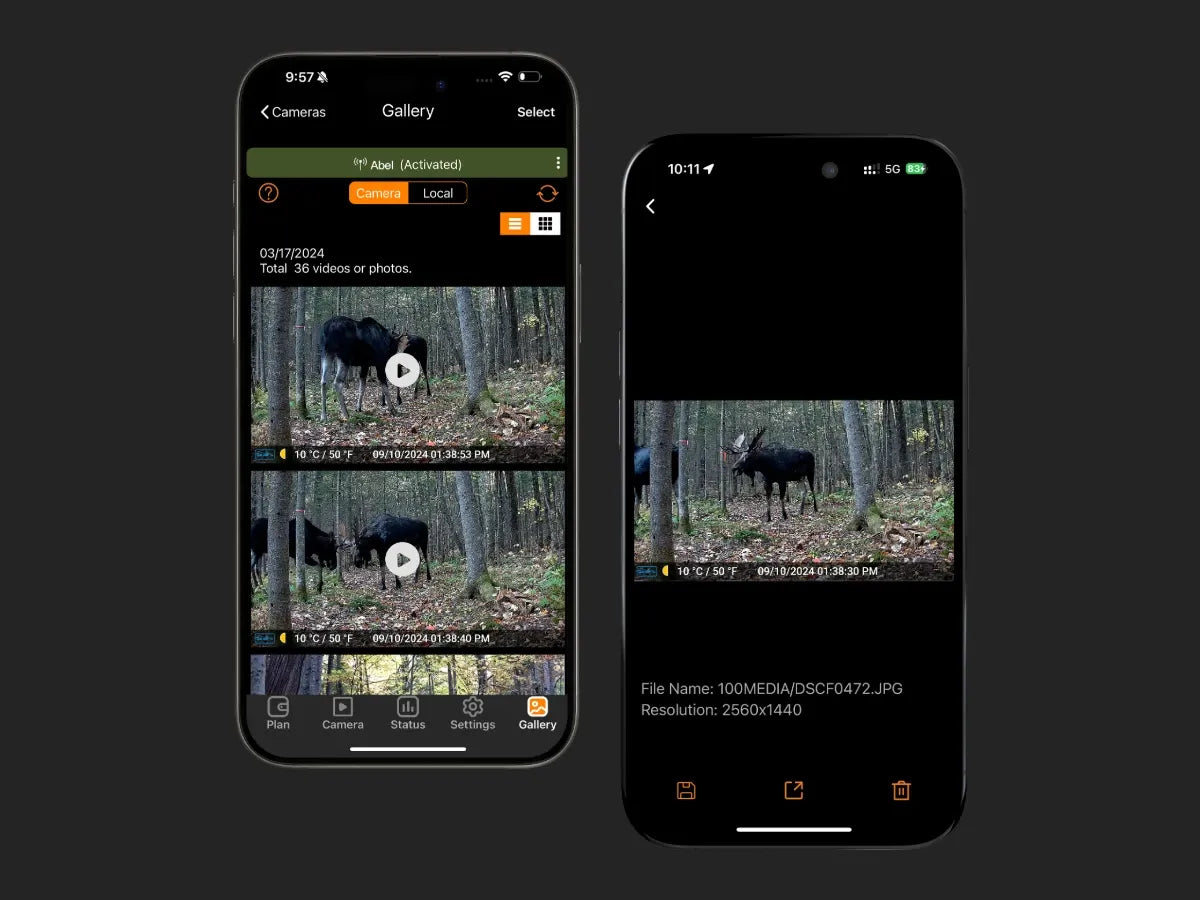 GardePro app gallery displaying moose photos and videos captured by the X60PMB cellular trail camera