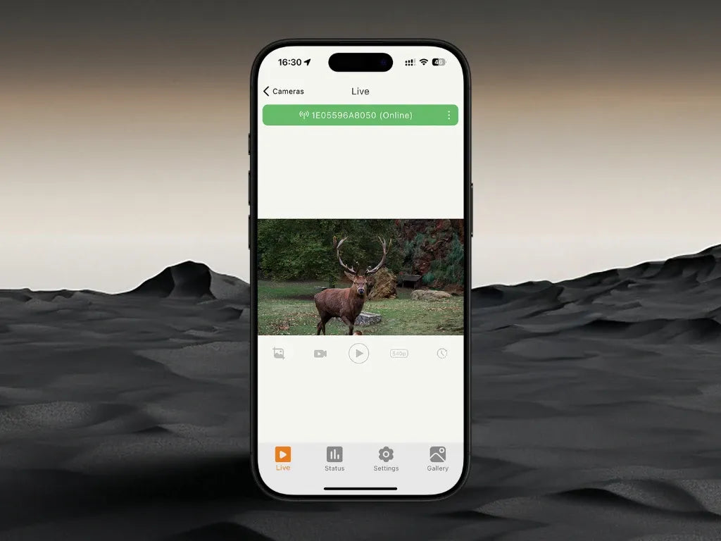 Live view of a deer captured by GardePro Link long-range wireless trail camera, displayed in the GardePro mobile app