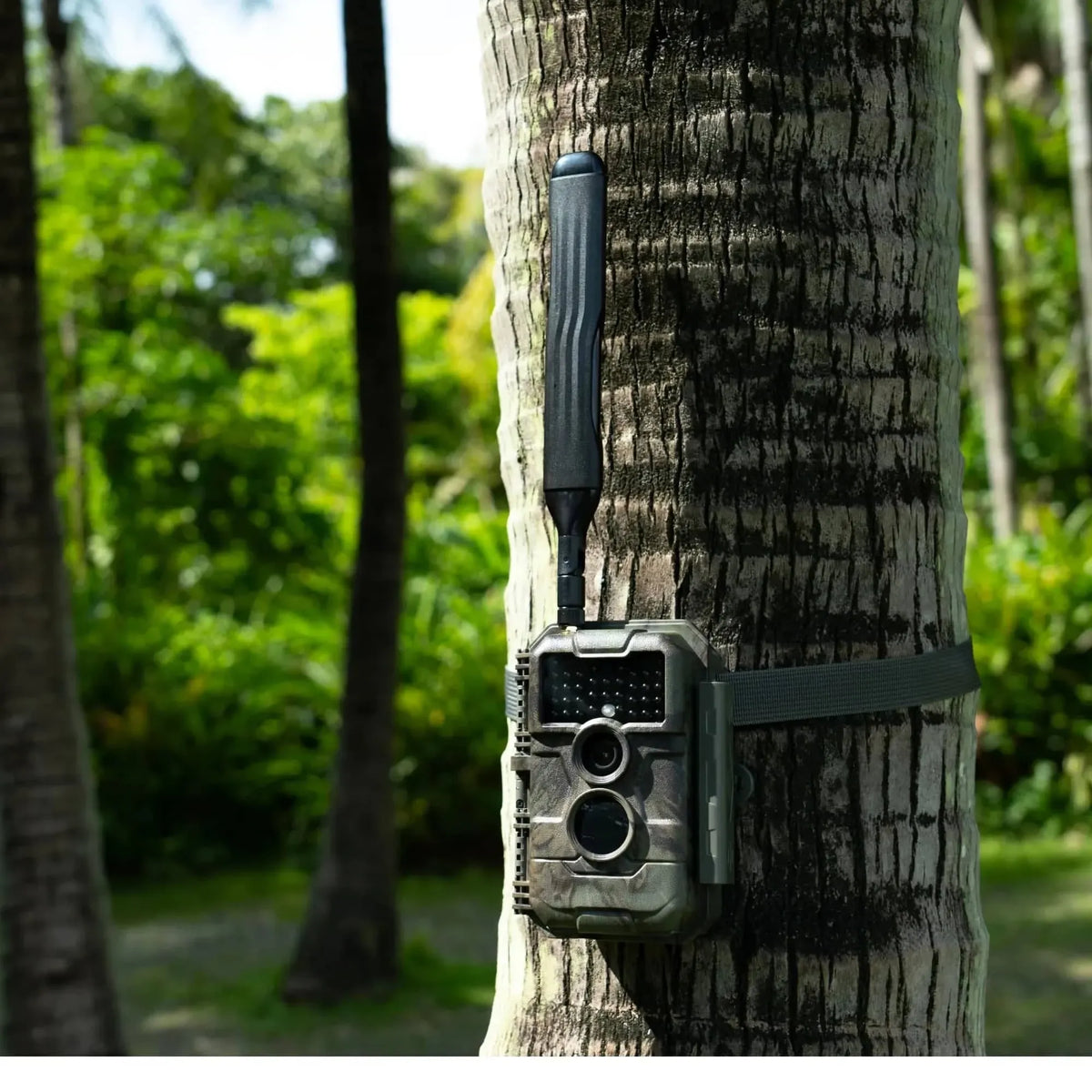 GardePro X20 cellular trail camera mounted on a tree, featuring a 4G LTE antenna for robust signal transmission