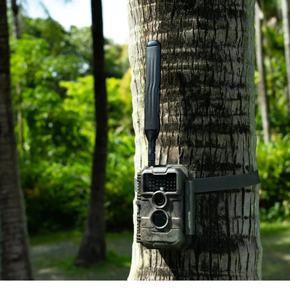 GardePro X20 cellular trail camera mounted on a tree, featuring a 4G LTE antenna for robust signal transmission