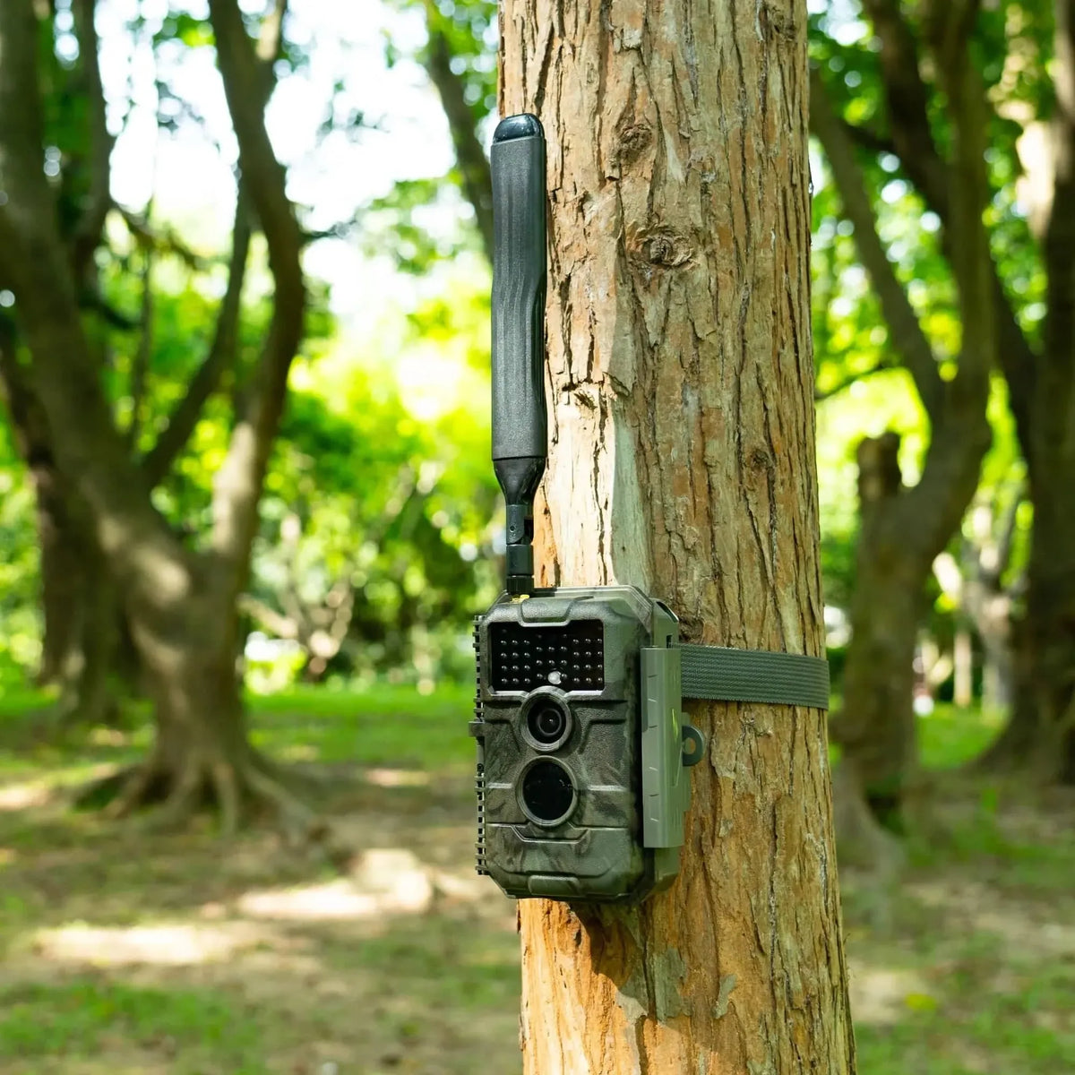 GardePro X20 cellular trail camera mounted on a tree, demonstrating its 110° wide-angle coverage for wildlife monitoring