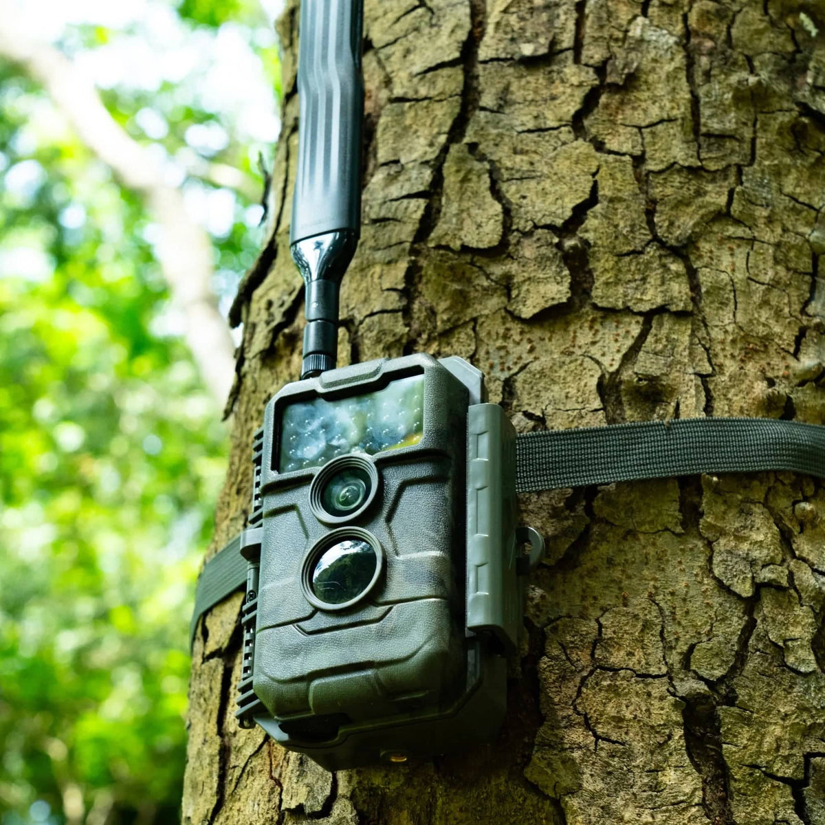 GardePro X20 cellular trail camera mounted on a tree, highlighting its rugged, weatherproof construction for outdoor deployments