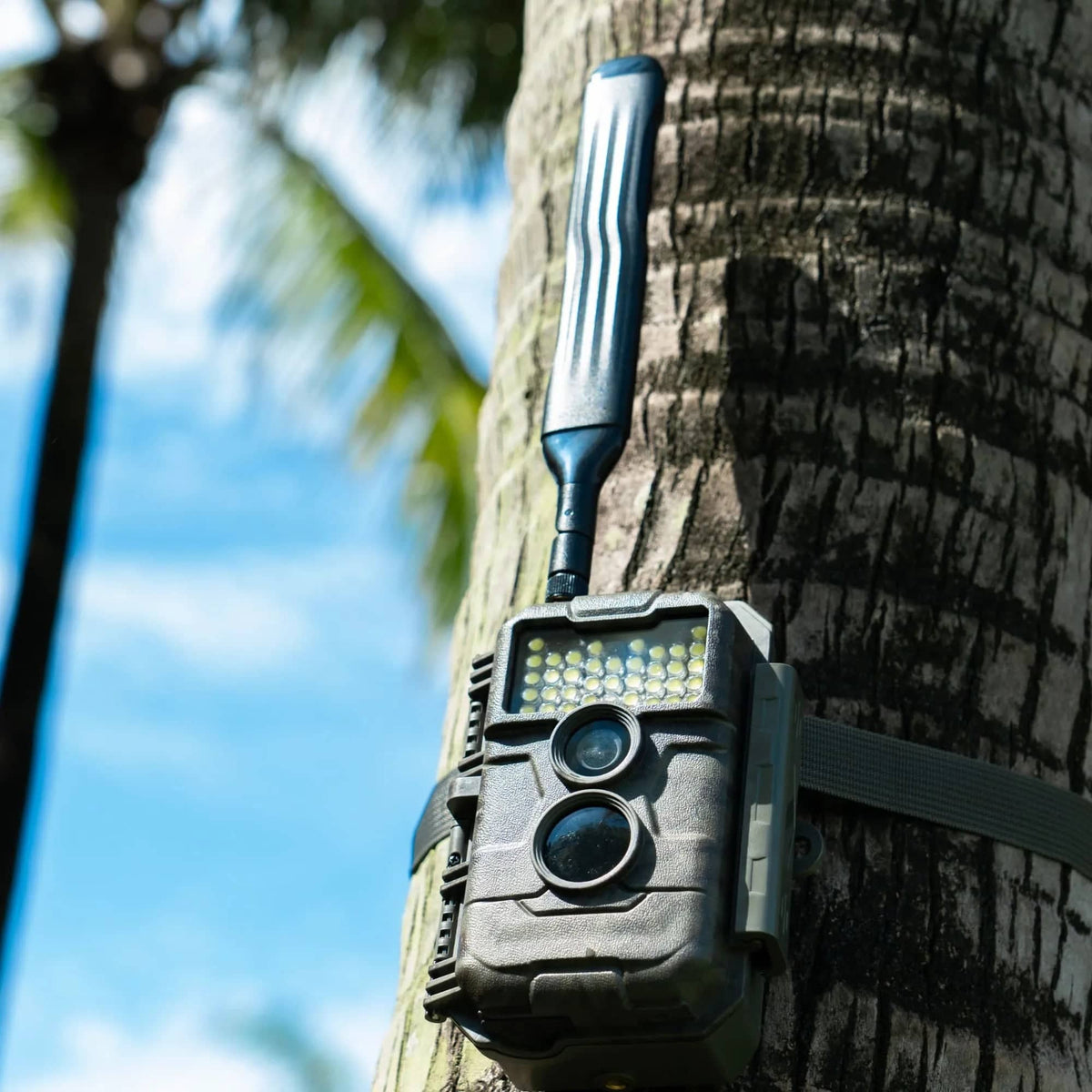 GardePro X20WF Cellular Trail Camera with Solar Panel - GardePro