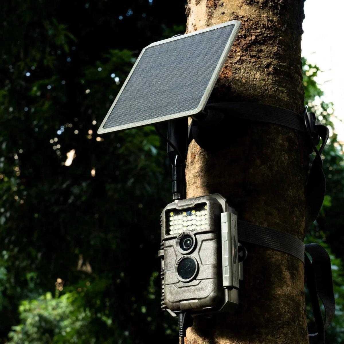 GardePro X20WF Cellular Trail Camera with Solar Panel - GardePro