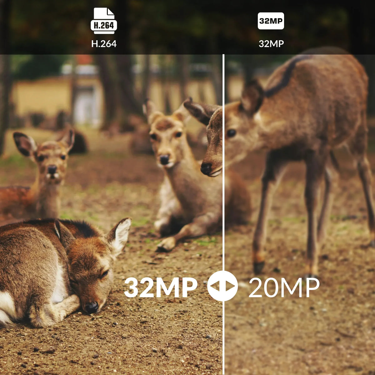 GardePro X20 Cellular Trail Camera All-in-One Bundle - GardePro