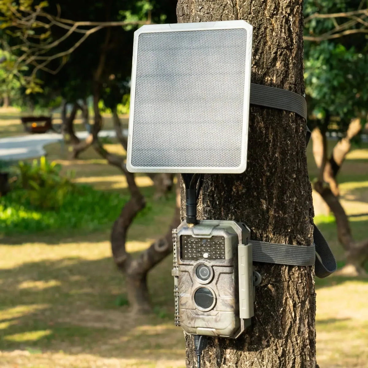 GardePro Trail Camera x20  With Solar Panel