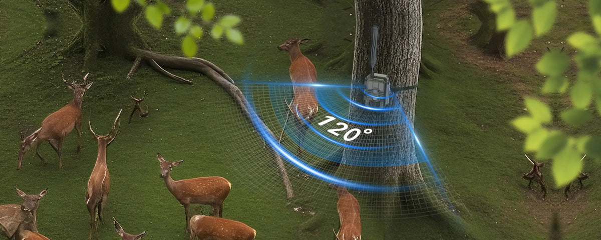 X60P Live Max trail camera with 120° wide-angle detection range, capturing deer activity.