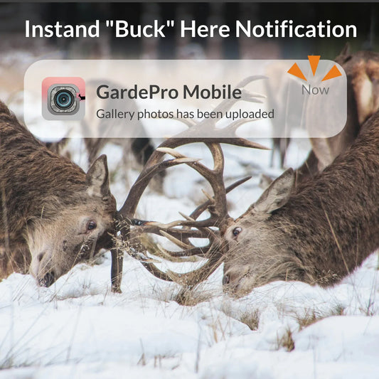 GardePro X60P Live Max trail camera with instant motion alerts for hunting and security