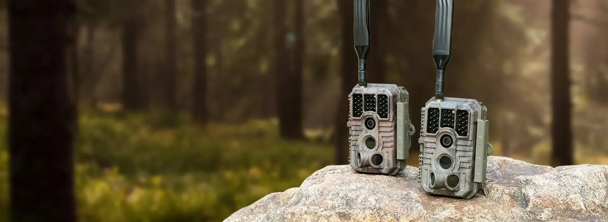 Two GardePro X60PMB cellular trail cameras on a rock in a forest, featuring camouflage casing and 4G LTE antennas