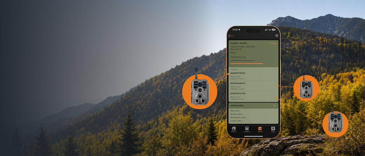 More Cameras. One Plan. Less to Manage.
