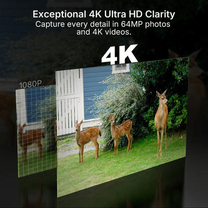 Comparison of 1080P vs 4K Ultra HD footage captured by GardePro E6 2.0 Pro WiFi trail camera, showing detailed wildlife photos