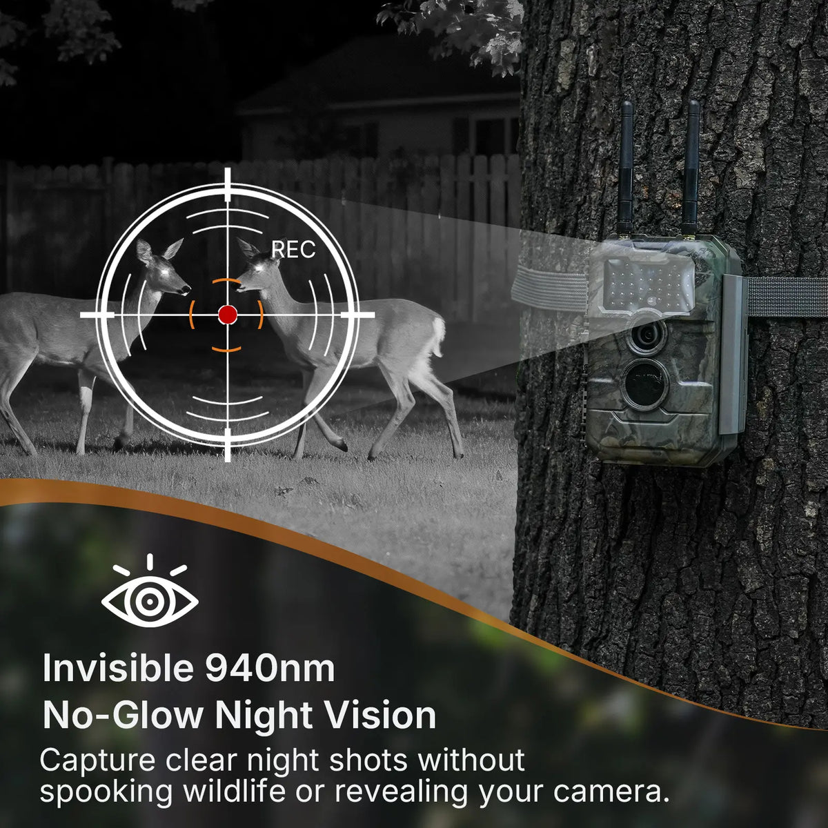 GardePro E6 2.0 Pro WiFi trail camera featuring invisible 940nm no-glow night vision, capturing deer at night without spooking wildlife