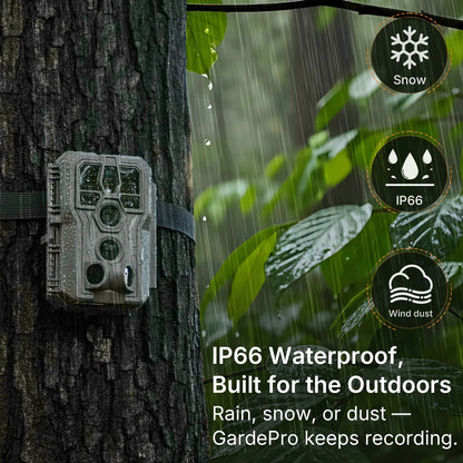 GardePro E5 2.0 non-cellular trail camera mounted on a tree, showcasing its IP66 waterproof design in rainy weather