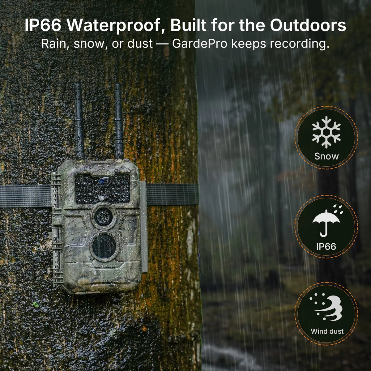 GardePro E6+ trail camera displaying IP66 waterproof and dustproof durability in rainy outdoor conditions.