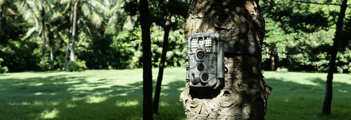GardePro Trail Cameras A5WF with White Flash